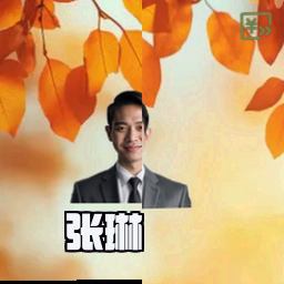 张琳